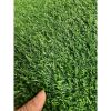 3FT*16FT Artificial turf, professional dog mat large turf outdoor carpet terrace pet lawn, artificial carpet with drainage holes (Grass height 0.78 in