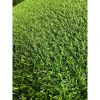3FT*16FT Artificial turf, professional dog mat large turf outdoor carpet terrace pet lawn, artificial carpet with drainage holes (Grass height 0.78 in